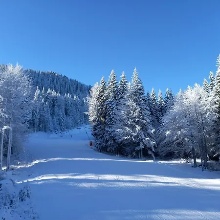 Cozy Ski-to-door Apartment, Monastery 3 Complex Apartment