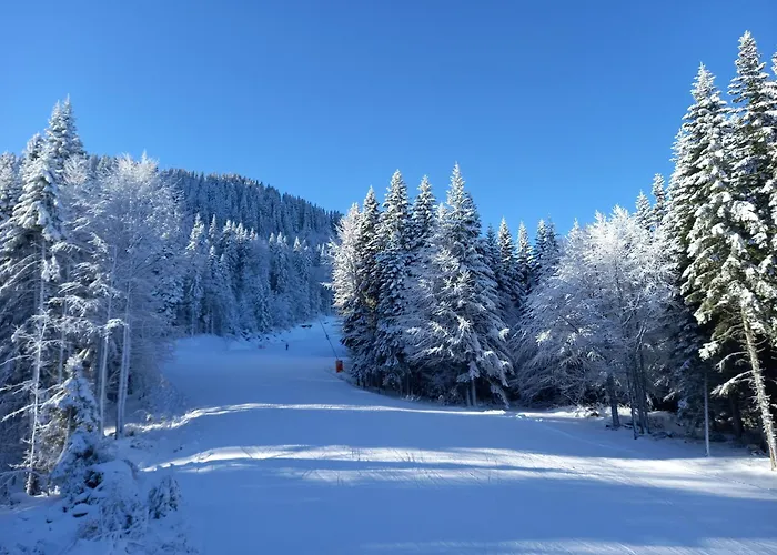 Cozy Ski-to-door Apartment, Monastery 3 Complex Apartment